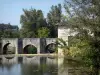Paysages du Lot-et-Garonne - Vieux pont enjambant la rivière Gélise et arbres au bord de l'eau ; dans le Pays d'Albret