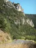 Paysages de la Lozère - Gorges de la Jonte : parois rocheuses dominant la route des gorges ; dans le Parc National des Cévennes