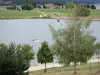 Paysages de la Lozère - Vue sur le lac de Naussac et sa rive plantée d'arbres