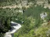 Paysages de la Lozère - Gorges du Tarn - Parc National des Cévennes : rivière Tarn, arbres et parois rocheuses