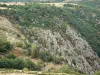 Paysages de la Lozère - Parois rocheuses et végétation des gorges du Chassezac ; dans le Parc National des Cévennes