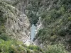 Paysages de la Lozère - Gorges de l'Altier - Parc National des Cévennes : rivière Altier, parois rocheuses et végétation