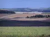 Paysages de la Marne - Champs et arbres