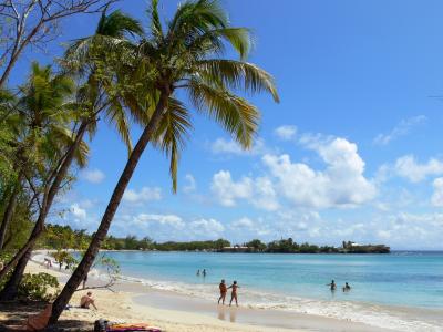 la martinique paysage