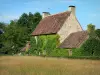 Paysages de la Mayenne - En bordure d'un pré, maison en pierre couverte de vigne vierge