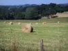 Paysages de l'Orne - Suisse normande : bottes de foin dans un champ avec vue sur la campagne boisée