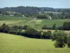 Paysages de l'Orne - Alternance de champs et d'arbres