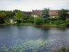 Paysages de l'Orne - Maisons au bord d'un étang