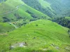 Paysages du Pays basque - Pentes verdoyantes des collines de la Soule