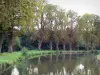 Paysages de Picardie - Canal de la Somme, chemin de halage et arbres