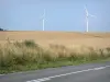 Paysages de Picardie - Route, fleurs sauvages, champs et éoliennes