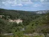 Paysages de Provence - Collines recouvertes de forêts et maisons