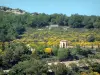 Paysages de Provence - Édifice, arbres et végétation