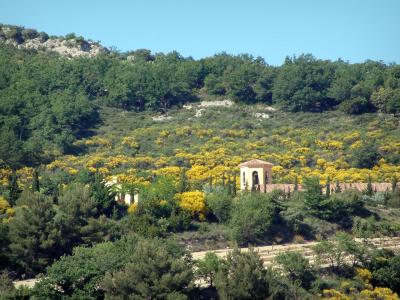 paysages de provence photos