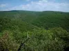 Paysages de Provence - Arbres et collines tapissées de forêts