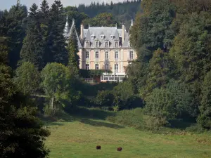 Paysages du Puy-de-Dôme - Parc Naturel Régional Livradois-Forez : château de Job, de style Renaissance, entouré d'arbres, et prairie avec deux vaches