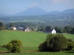 Paysages du Puy-de-Dôme - Prairies, maisons, arbres, et sommet du puy de Dôme (chaîne des Puys, monts Dôme) en arrière-plan