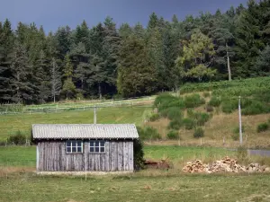Paysages du Puy-de-Dôme - Parc Naturel Régional Livradois-Forez : cabane en bois, herbages et forêt de sapins