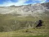Paysages des Pyrénées - Cirque de Troumouse (Parc National des Pyrénées) : pelouses (pâturages) et parois rocheuses des montagnes du cirque formant une muraille (rempart) naturelle