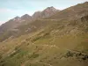 Paysages des Pyrénées - Montagne parcourue de sentiers
