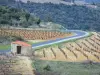 Paysages des Pyrénées-Orientales - Cabane de vigneron au bord d'une petite route bordée de champs de vignes ; dans le Fenouillèdes