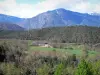 Paysages des Pyrénées-Orientales - Maison entourée de prés, de forêts et de montagnes