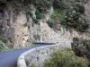Paysages des Pyrénées-Orientales - Petite route de montagne