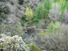 Paysages des Pyrénées-Orientales - Arbres au bord de l'eau
