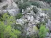 Paysages des Pyrénées-Orientales - Rochers entourés de végétation