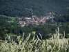 Paysages du Quercy - Épis en premier plan avec vue sur les maisons d'un village, les arbres et la forêt