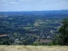 Paysages du Quercy - Herbe sèche en premier plan avec vue sur maisons, arbres, champs et bois