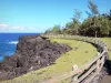 Paysages de La Réunion - Salvaje Sur: casquillo sitio traviesa y su irregular costa basáltica