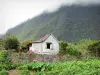 Paysages de La Réunion - Parque Nacional de La Reunión: dúplex en el corazón de la Salazie verde