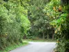 Paysages de La Réunion - Salazie - Parque Nacional de la Reunión: carretera llena de plantas con flores