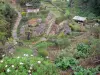 Paysages de La Réunion - Área de picnic en las Marcas viales