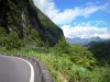 Paysages de La Réunion - Salazie carretera llena de paisajes verdes