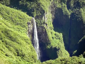 Paysages de La Réunion - Parc National de La Réunion : cascade du Trou de Fer dans son environnement sauvage
