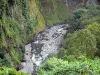 Paysages de La Réunion - Vista del río del mástil en una zona verde de la carretera a Salazie