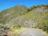 Paysages de La Réunion - Parque Nacional de La Reunión: camino hacia el cuello de los bueyes