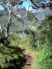 Paysages de La Réunion - Parque Nacional de La Reunión: ruta de senderismo en el corazón de la Mafate naturales