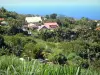 Paysages de La Réunion - Casas rodeados de zonas verdes, con vistas al Océano Índico