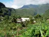 Paysages de La Réunion - Vista de las casas están rodeadas de vegetación de la carretera a Salazie