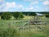 Paysages de la Sarthe - Portail de clôture d'un pré