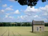 Paysages de la Sarthe - Cabane entourée de champs