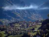 Paysages de Savoie en automne - Maisons d'un village, arbres en automne et montagnes couvertes de forêts