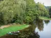 Paysages de la Vienne - Rivière Anglin, barques, rive, arbres au bord de l'eau ; à Angles-sur-l'Anglin
