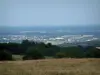 Paysages des Vosges - Herbage, arbres, ville en contrebas et forêts en arrière-plan