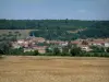 Paysages des Vosges - Champ de blé, arbres, maisons d'un village et forêt en arrière-plan