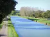 Paysages de l'Yonne - Canal de Bourgogne et son chemin de halage bordés d'arbres