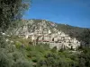 Peillon - Antiga vila com suas oliveiras e árvores, então a montanha